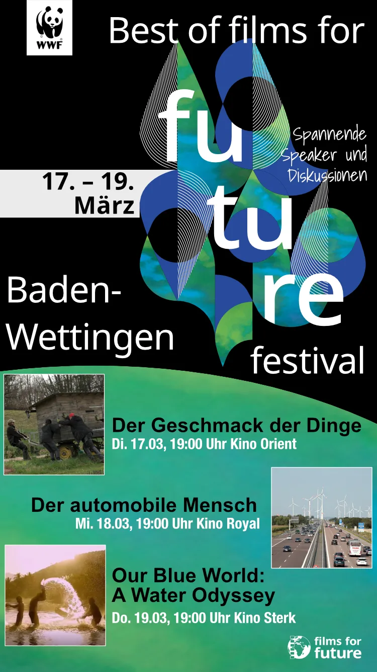 Digital flyer, Best Of 2026
