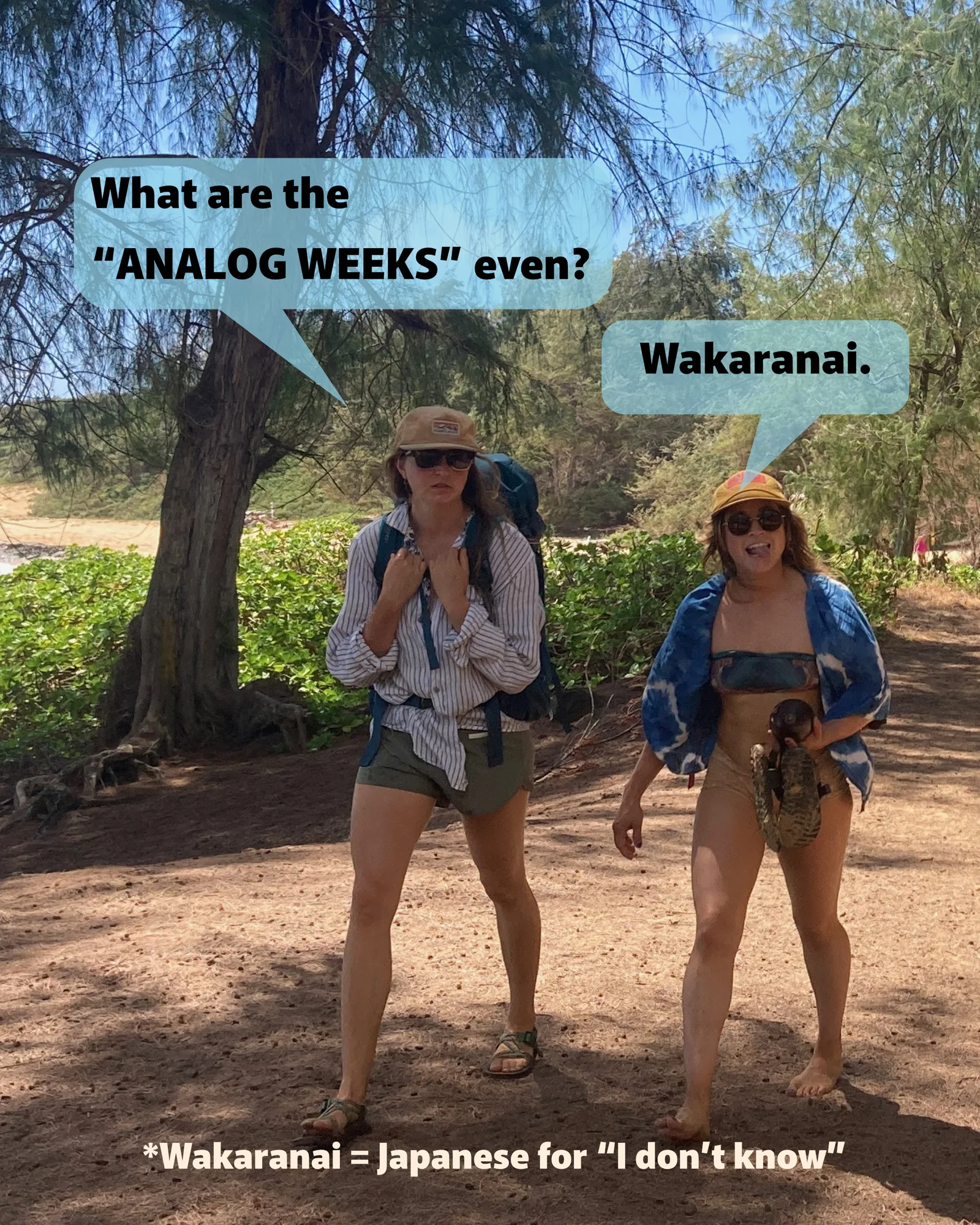 Analog Weeks social, 1